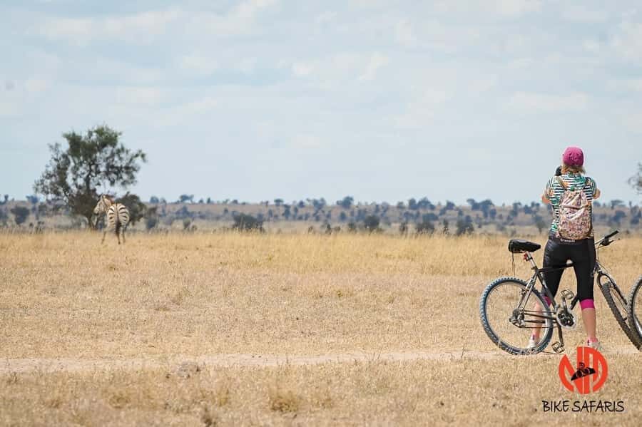 Nairobi: E-Bike/Cycling Wildlife Safari with Transfer & meal - The 2-hour cycling safari: what to look for and how to see more