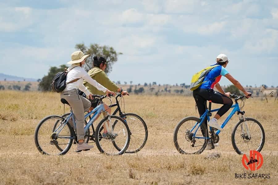 Nairobi: E-Bike/Cycling Wildlife Safari with Transfer & meal - Transfers and park entry fees: the value add you might overlook