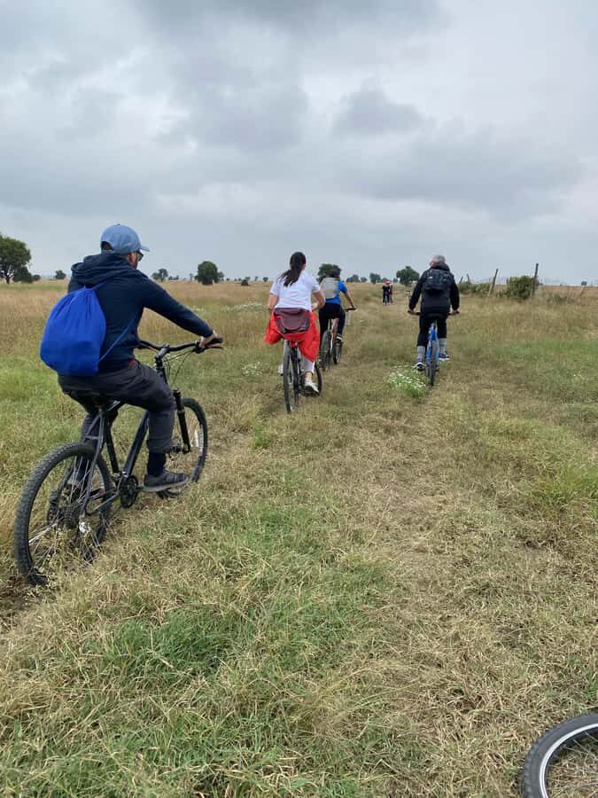 Nairobi: E-Bike/Cycling Wildlife Safari with Transfer & meal - E-bike vs bicycle: match the ride to your energy level