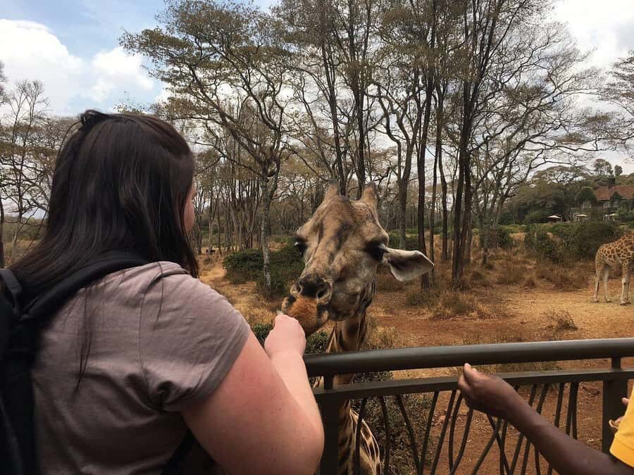 Nairobi: Elephant Orphanage and Giraffe Center Day Tour - Best Fit: Who Will Enjoy This Tour Most