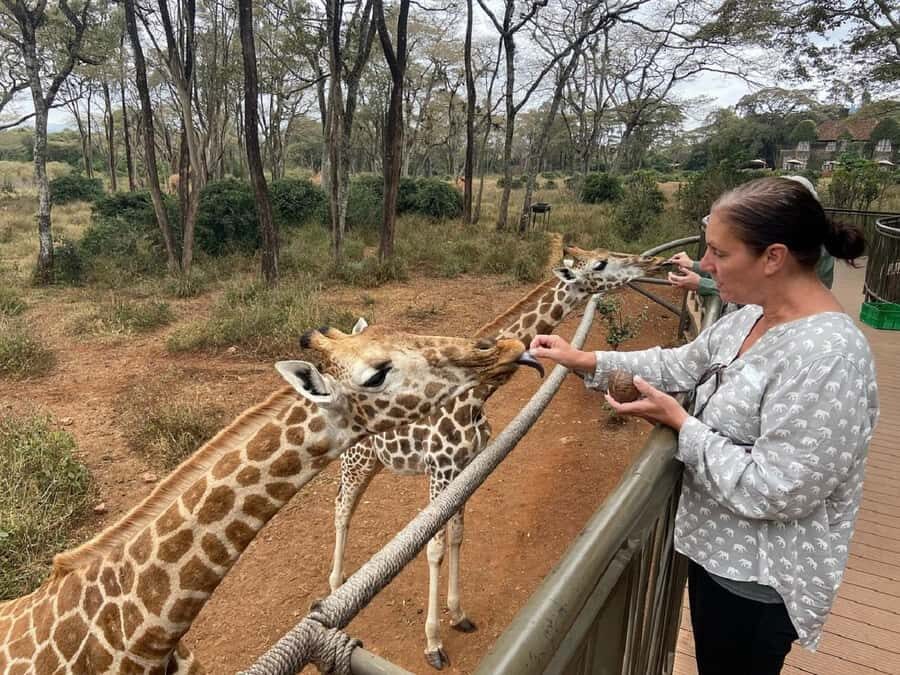Nairobi: Elephant Orphanage, Giraffe Center, & Karen Blixen - How this Nairobi tour fits limited time