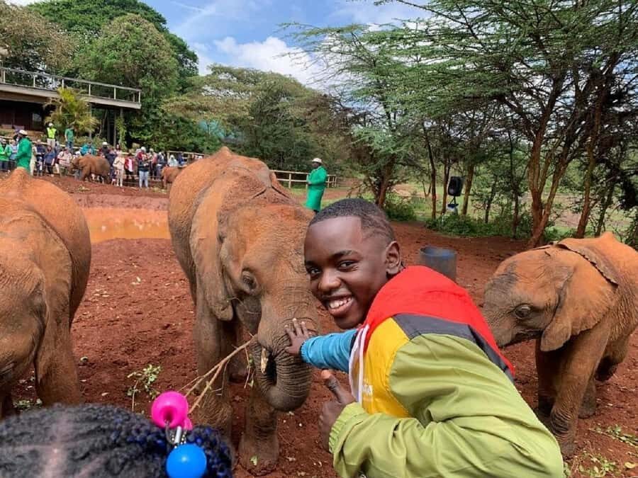 Nairobi: Elephant Orphanage, Giraffe Center, & Karen Blixen - Karen Blixen Museum: an Out of Africa era house visit