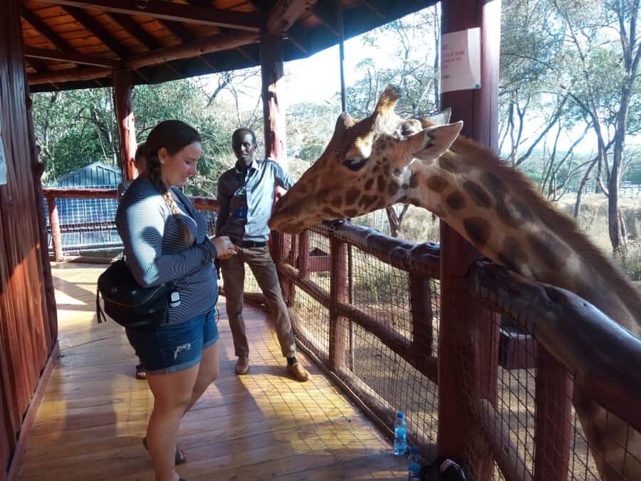 Nairobi: Elephants, Giraffes, Karen Blixen & Bomas Tour - Key things to know before you go