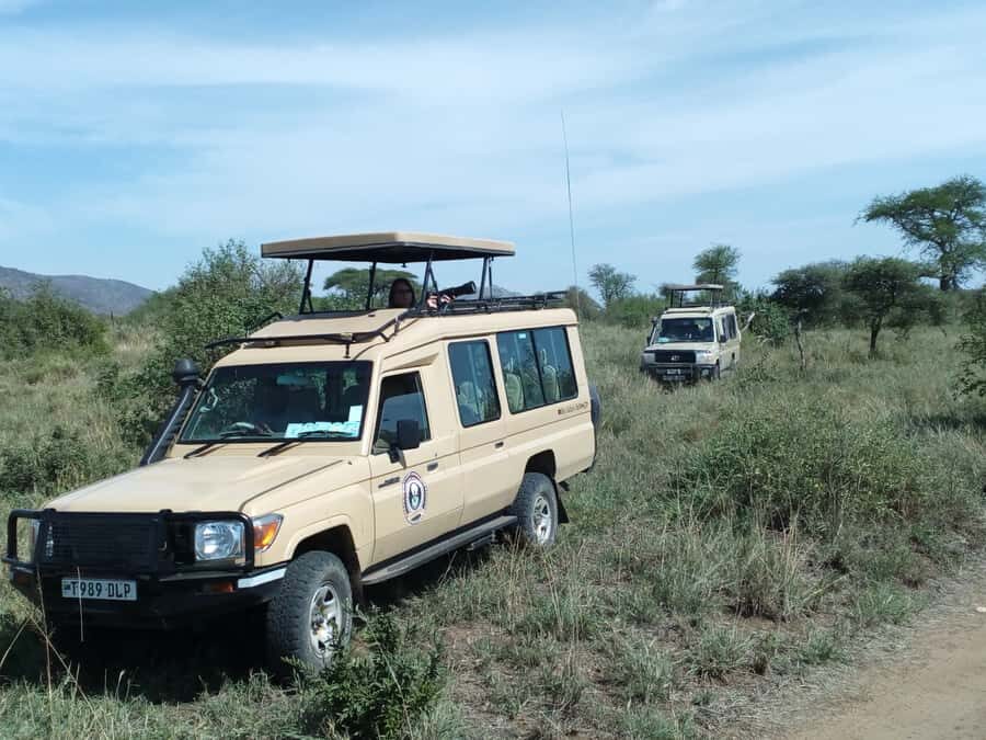Nairobi: Elephants, Giraffes, Karen Blixen & Bomas Tour - Giraffe Centre feeding plus an easy nature stroll