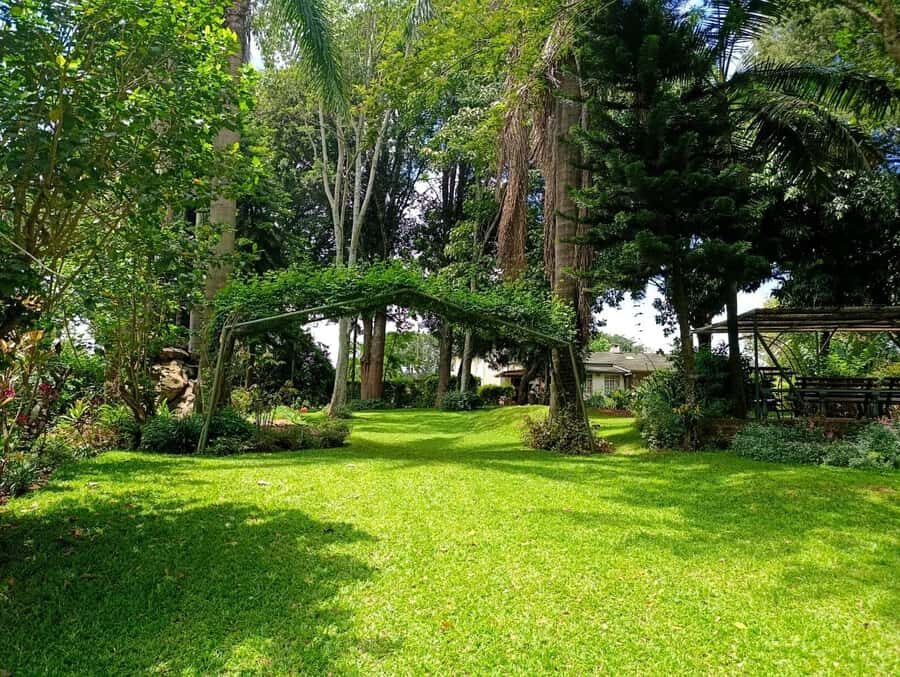 Nairobi: Fairview Coffee Estate Tour with Pickup - Snack terrace finale: a proper send-off with local flavors