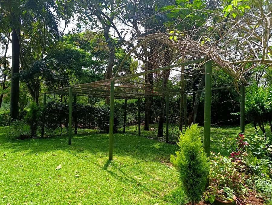 Nairobi: Fairview Coffee Estate Tour with Pickup - Who this tour is best for (and who should think twice)