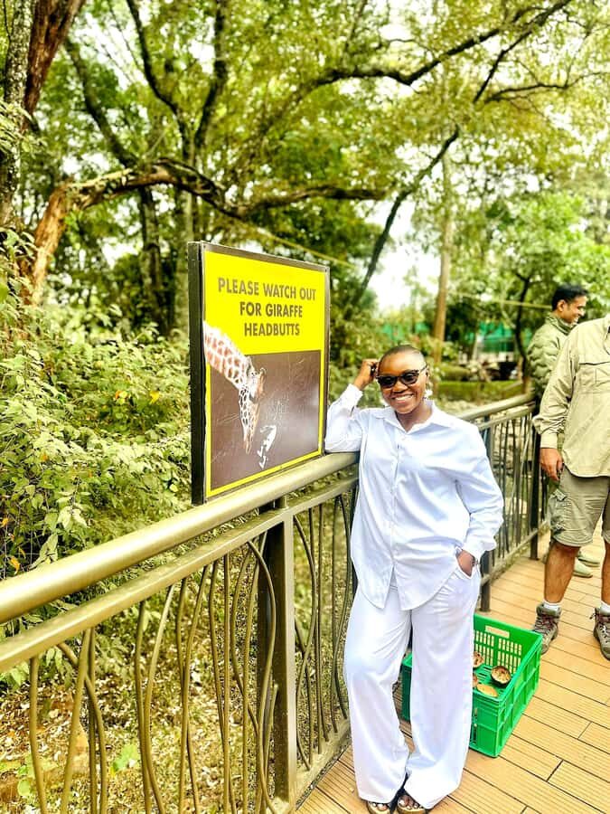 Nairobi: Game drive, elephant Orphanage & giraffe centre. - Lunch Break at a Local Restaurant
