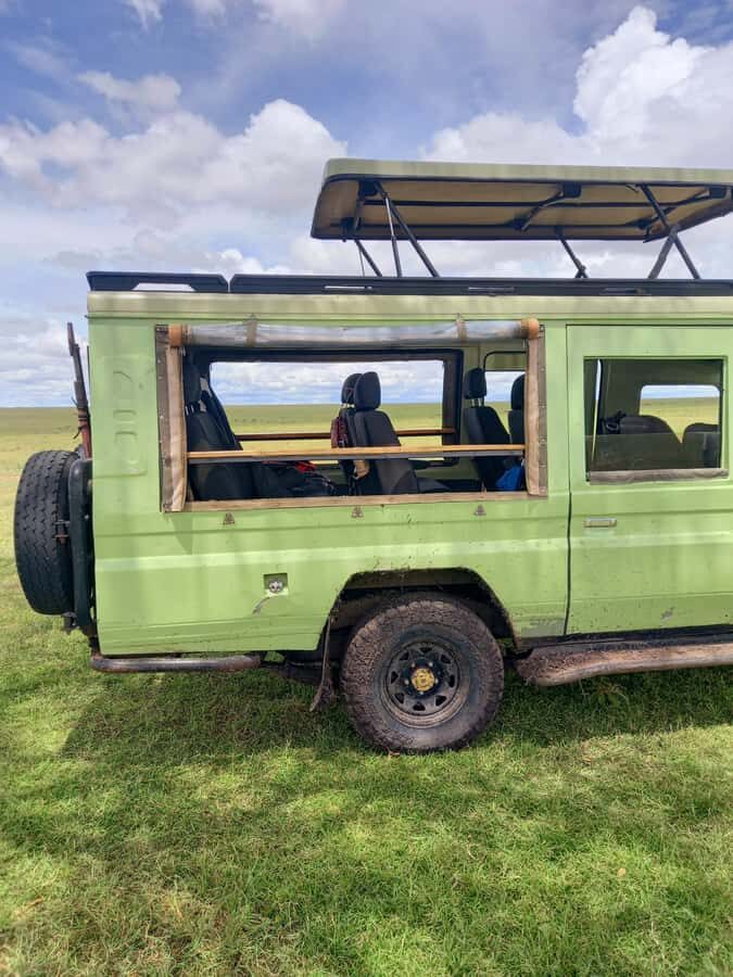 Nairobi: Game drive, elephant Orphanage & giraffe centre. - What You’re Paying For: Value Check on the $139 Price
