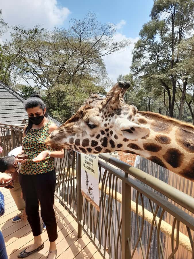 Nairobi: Giraffe Center, Beads Factory & Bomas of Kenya Tour - Who This Tour Fits Best