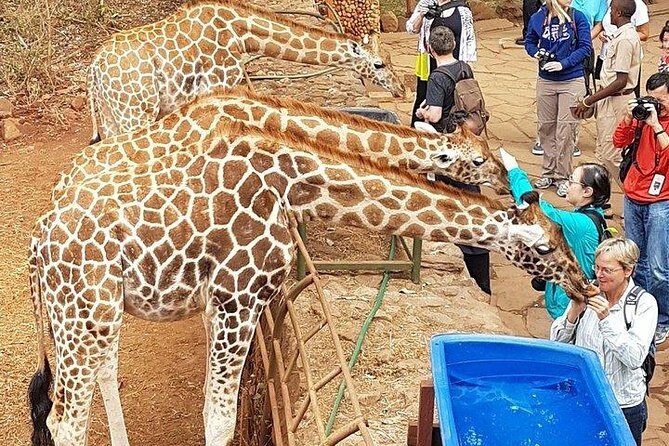 Nairobi Highlights: Karen Blixen, Beads Factory & Giraffe Center Day Tour - Timing and logistics that make a Nairobi day tour feel smoother
