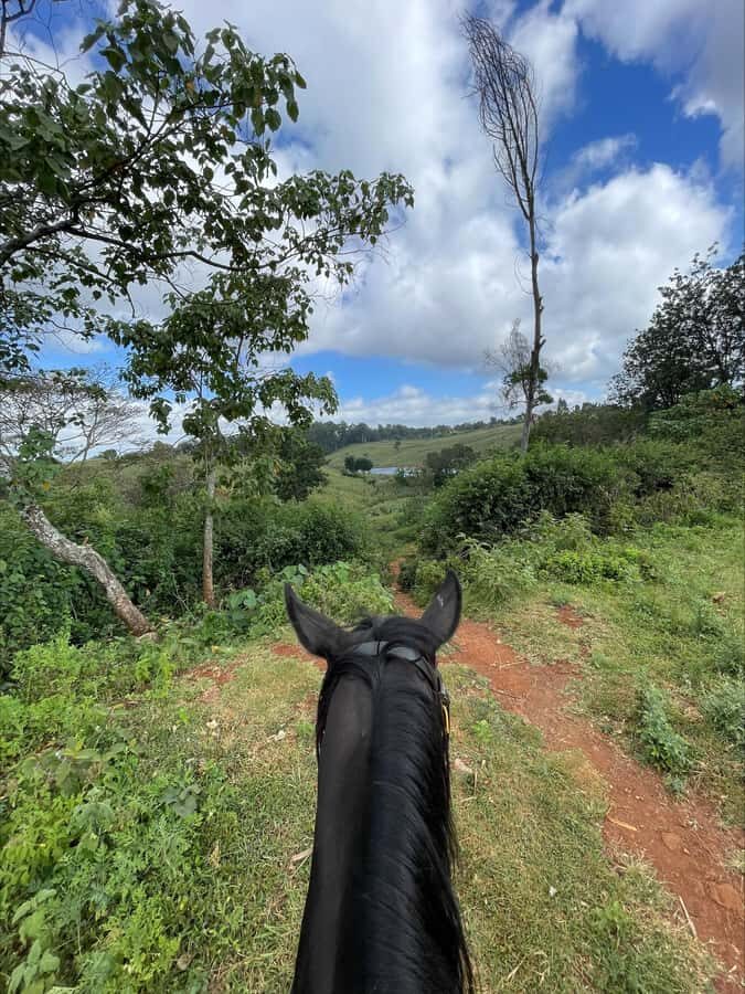 Nairobi: Horseback Riding Tour Through Maize Plantation - Quick take: what makes this horseback ride worth your time