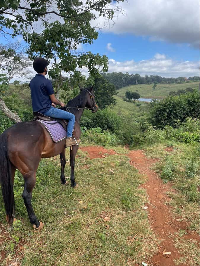Nairobi: Horseback Riding Tour Through Maize Plantation - Horseback riding in Nairobi’s maize fields and forest paths