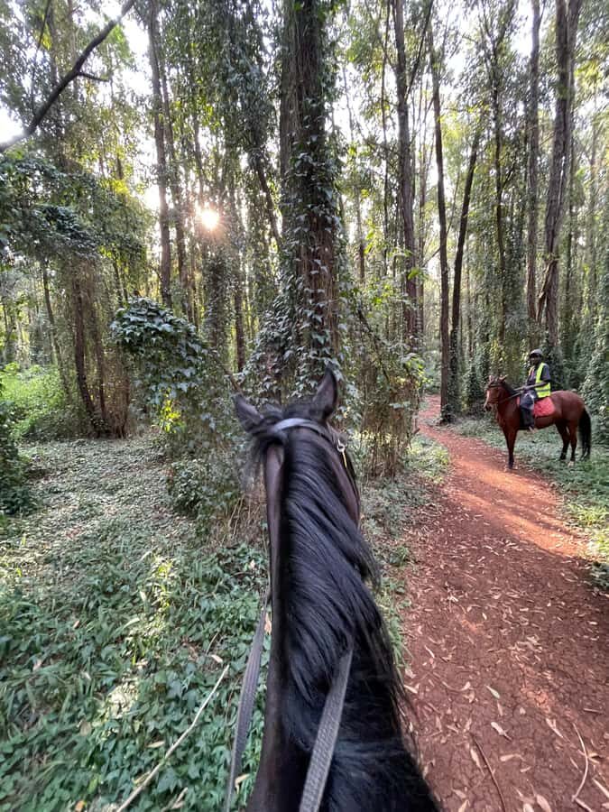 Nairobi: Karura Forest Horseback Riding Tour - Finding the right gate: Sigiria is where the horses wait