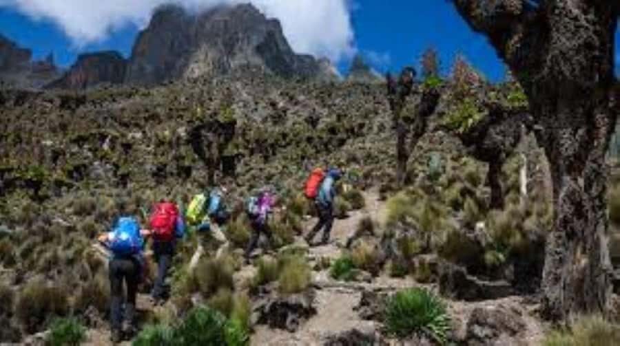 Nairobi: Mount Kenya Day Hike with Lunch - Coming down to Met station and back to Nairobi by late afternoon