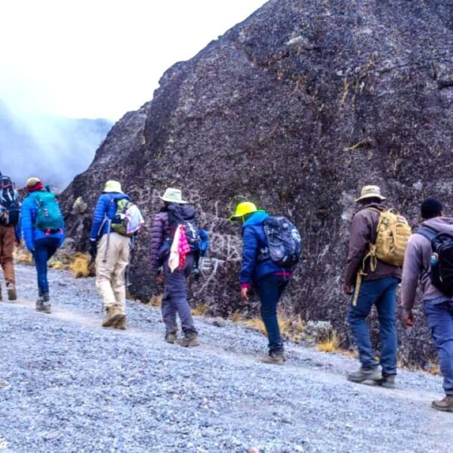 Nairobi: Mount Kenya Day Hike with Lunch - Price and value: what $304 buys (and what it doesn’t)