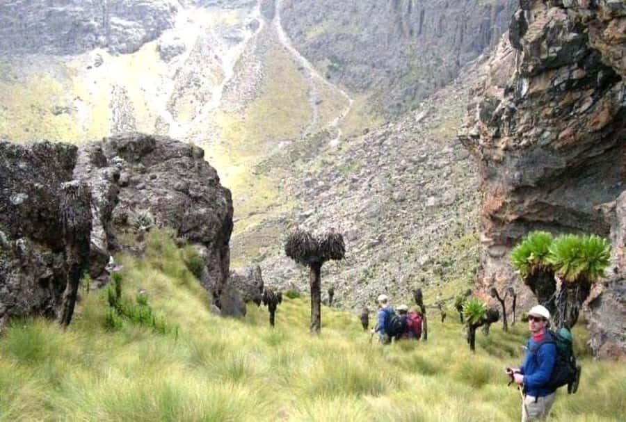 Nairobi: Mount Kenya Day Hike with Lunch - Who this Mt Kenya day hike suits best (and who should skip it)
