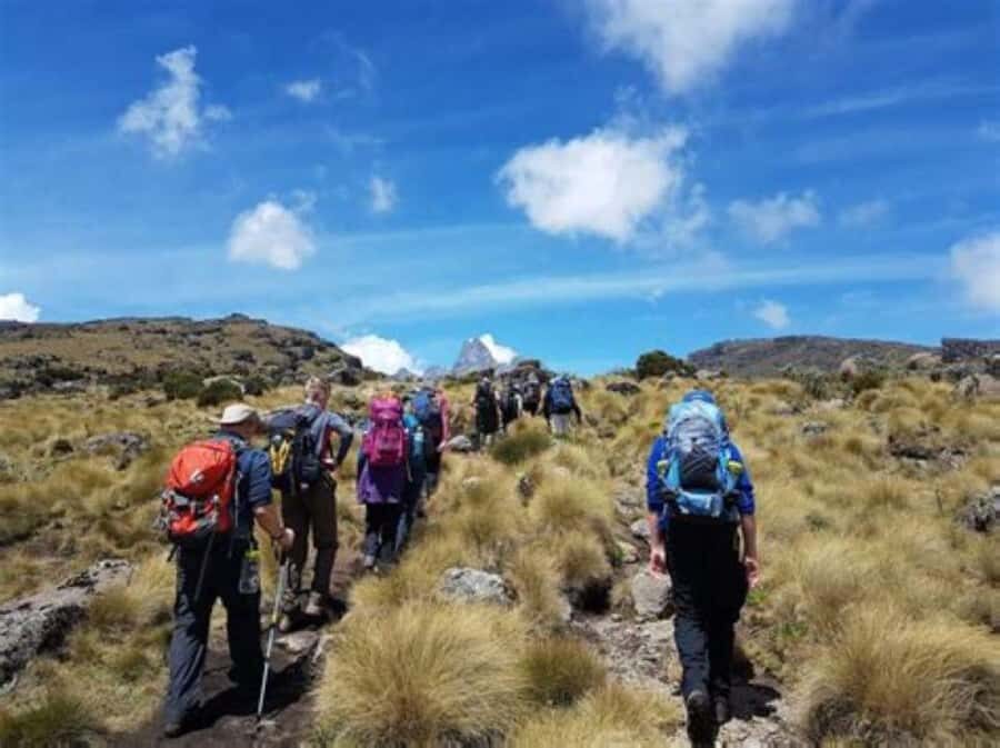 Nairobi: Mount Kenya Day Hike with Lunch - Nairobi to Naro Moru: early pickup and a long drive that matters