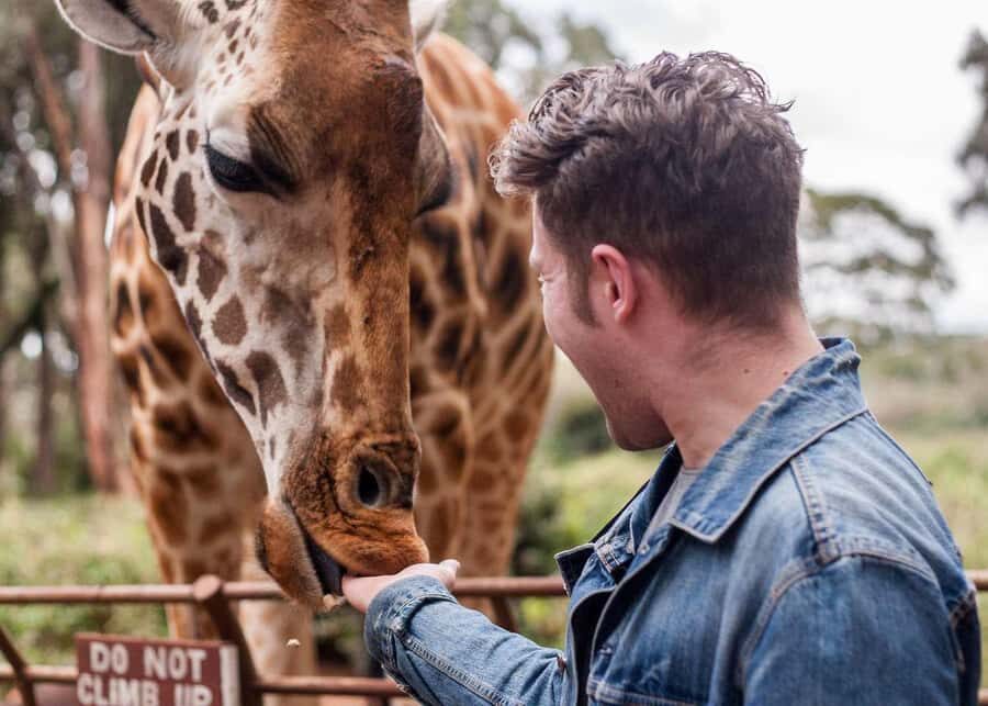 Nairobi: Museum, KICC, Giraffe Centre & Bomas of Kenya Tour - Key highlights to clock before you go