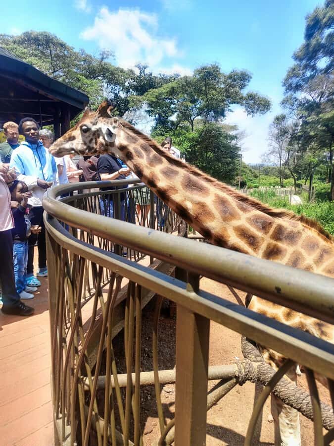 Nairobi: Museum, KICC, Giraffe Centre & Bomas of Kenya Tour - Bomas of Kenya: music, dance, and tribal storytelling
