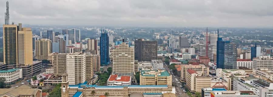 Nairobi National Museum & City Tour. - Nairobi National Museum: a focused history lesson (1.5 hours)