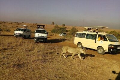 Nairobi National Park 6 am Group Joining Game drive. - Getting from your hotel to the park: the early-morning rhythm
