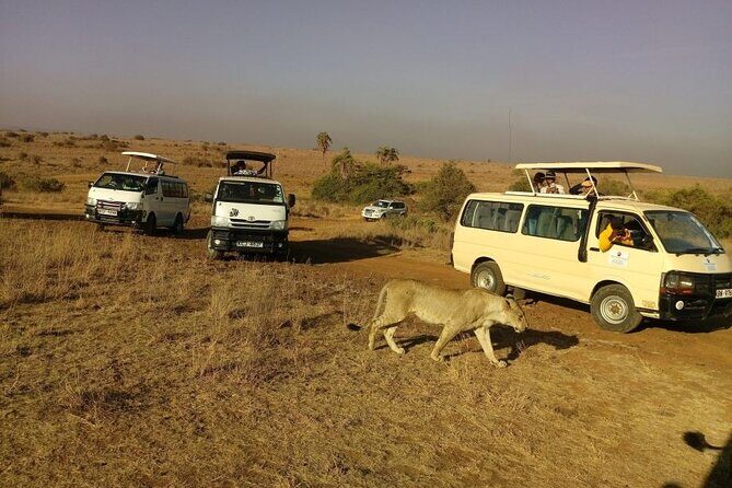 Nairobi National Park 6 am Group Joining Game drive. - Getting from your hotel to the park: the early-morning rhythm