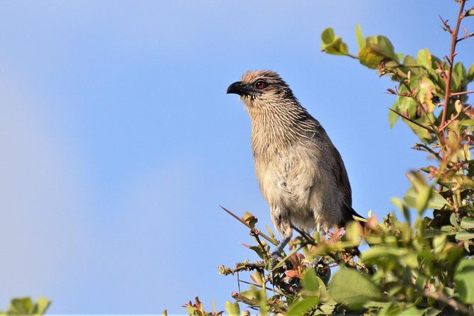 Nairobi National Park - Price and logistics: is $185 a good deal?