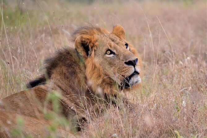 Nairobi National Park - Weather and what to bring for a city-edge safari