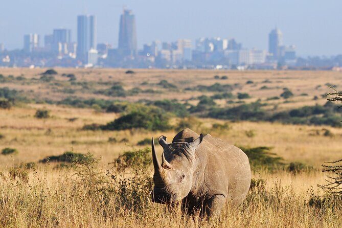 Nairobi National Park and Beads Factory Private Tour - Transport, Timing, and What a 7-Hour Private Day Is Really Like