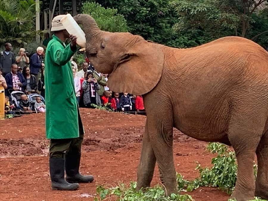Nairobi national park and elephant orphanage - Beads Women Factory: a short stop with real local flavor