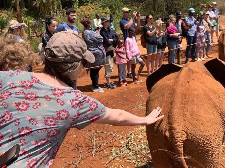 Nairobi national park and elephant orphanage - Guides and real-world reliability: what to verify before you roll