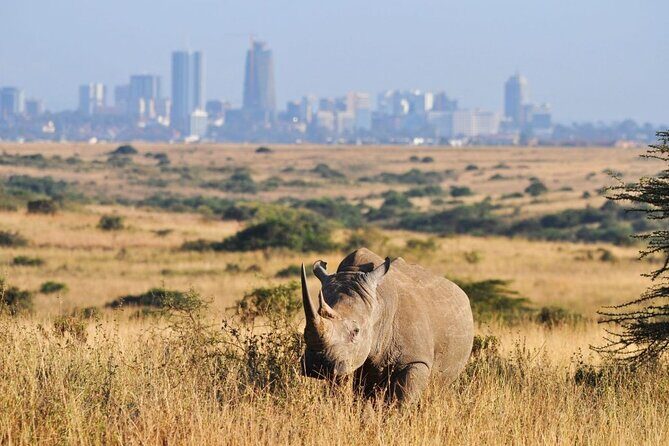 Nairobi National Park and Giraffe Center Day Tour - What’s included in the $175 price (and where it can be a bargain)