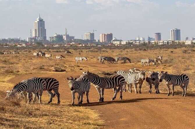 Nairobi National Park and Giraffe Center from Kenya with a Guide - Nairobi National Park: Why This City Safari Feels Different