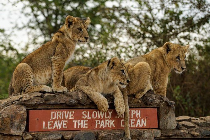 Nairobi National Park, Baby Elephant Orphanage and Giraffe Center - Price and what you’ll pay on arrival
