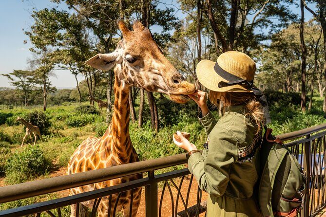 Nairobi National Park, Elephant Orphanage and Giraffe Centre - Nairobi National Park: lions, rhinos, and giraffes with Nairobi behind them