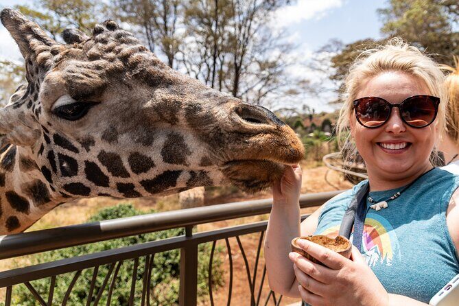 Nairobi National Park, Elephant Orphanage and Giraffe Centre - Giraffe Centre: feeding time and close views