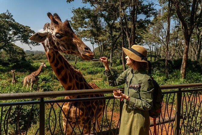Nairobi National Park, Elephant Orphanage and Giraffe Centre - Should you book this Nairobi National Park, Sheldrick, and Giraffe Centre tour?