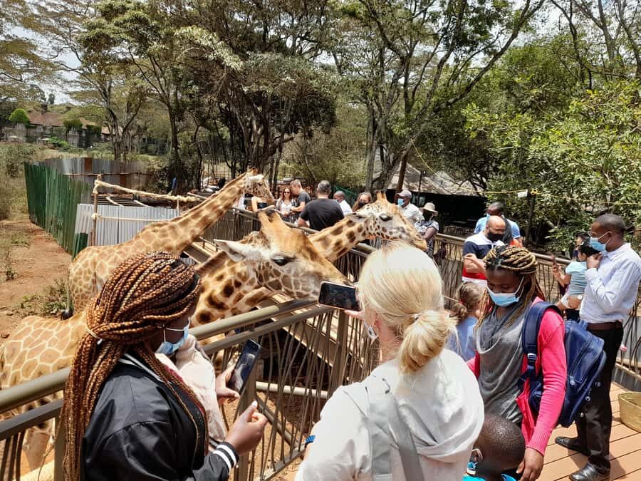 Nairobi: National Park, Elephant Orphanage, and Giraffe Tour - Nairobi in one day: the skyline-safari contrast