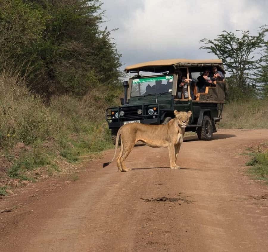 Nairobi: National Park, Elephant Orphanage & Giraffe Tour - Key things to know before you go