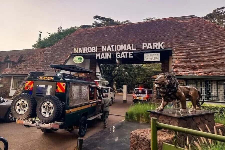 Nairobi: National Park, Elephant Orphanage & Giraffe Tour - Nairobi National Park to craft workshops: how the day flows