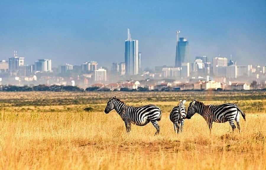 Nairobi: National Park, Elephant Orphanage & Giraffe Tour - Kazuri Beads Factory and Kobe Bead Factory: souvenirs with a story
