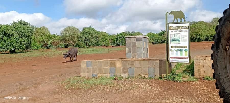 Nairobi: National Park, Elephant Sanctuary, & Giraffe Center - Should you book this Nairobi National Park, Elephant Sanctuary, and Giraffe Centre day?