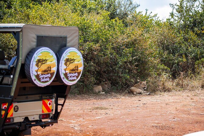 Nairobi National Park Game Drive - Shared Experience in Open Jeep - Nairobi Safari, Right Next to the Skyline