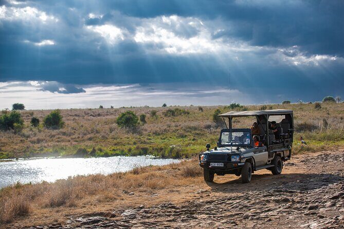 Nairobi National Park Game Drive - Shared Experience in Open Jeep - What You Can Hope to See: Big Five Targets Without Guarantees