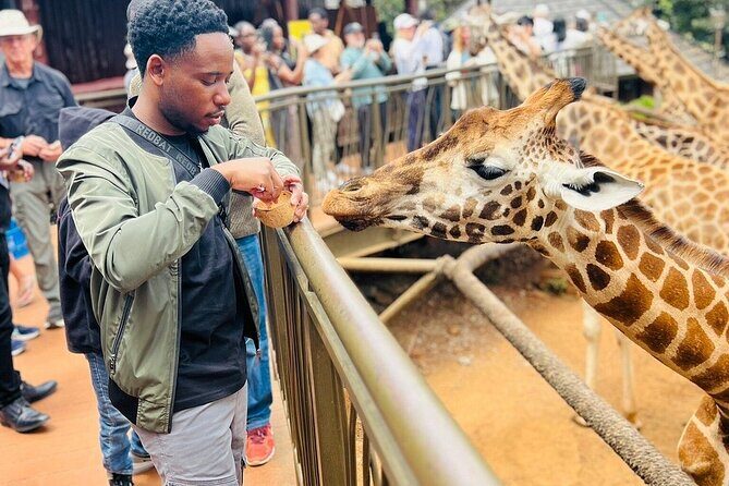Nairobi National Park Giraffe Center Carnivore Lunch - Key highlights you’ll actually care about