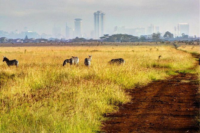 Nairobi National Park: Half Day Guided Tour From Nairobi - Meeting at 19 Kenyatta Ave and the Early 6AM Start