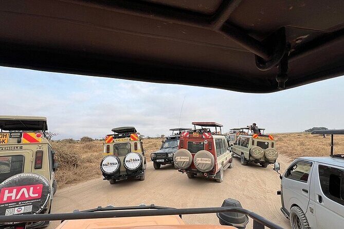 Nairobi National Park Half Day with Pickup - Stop 1: Nairobi National Park grass plains and the skyline frame