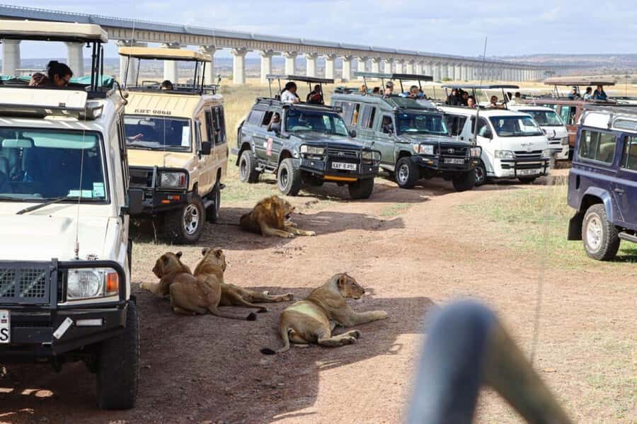 Nairobi National Park Morning Game Drive With Free Pickup - The 4-Hour Game Drive: How to Spot Wildlife Like a Pro