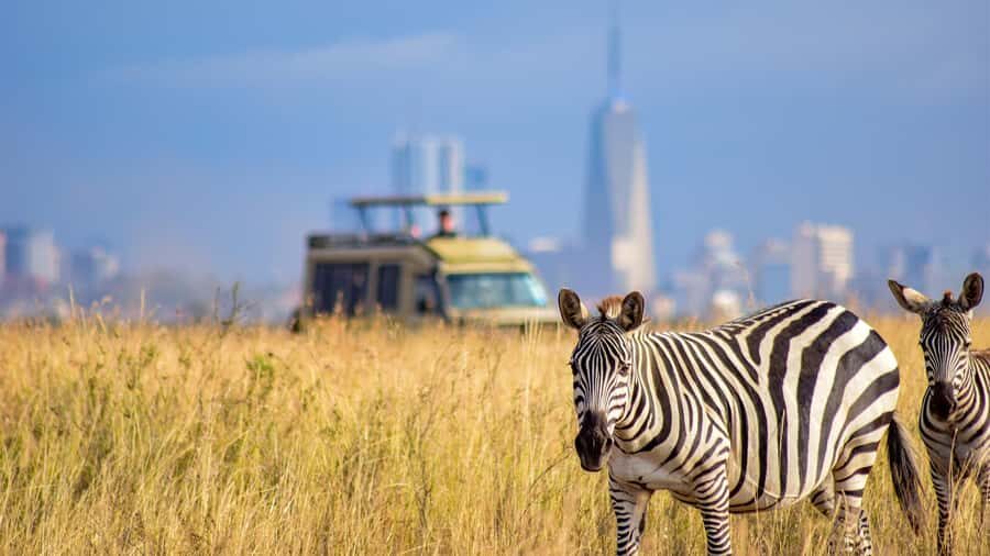 Nairobi National Park, Orphanage, Giraffe & Beads Tour - A City-Side Safari: Nairobi National Park With the Skyline in View