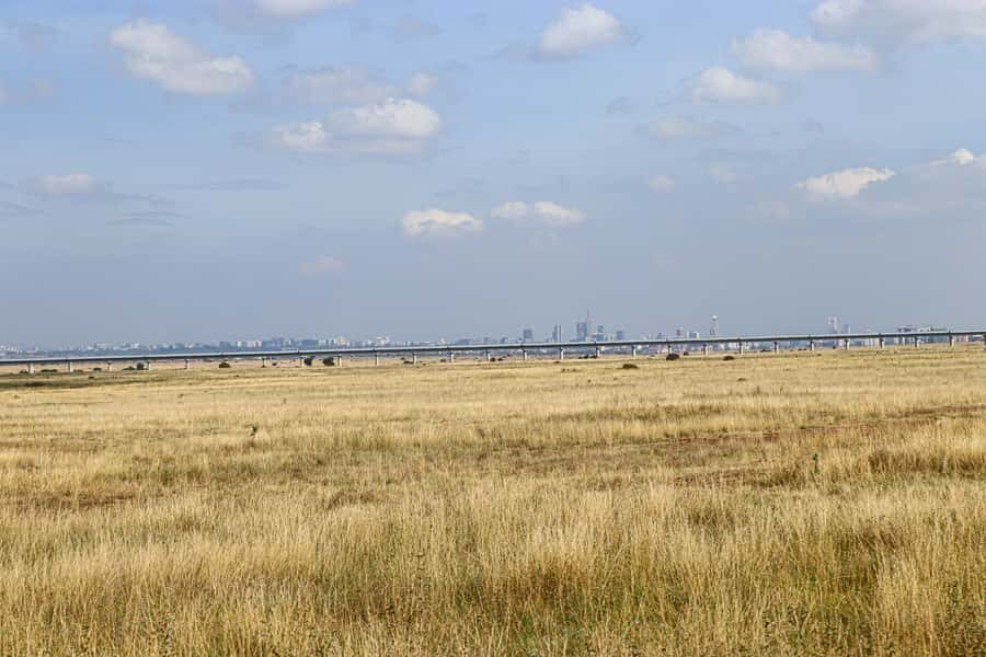 Nairobi National Park, Orphanage, Giraffe & Beads Tour - Timing, Packing, and Photo-Ready Tips for a Smooth Day